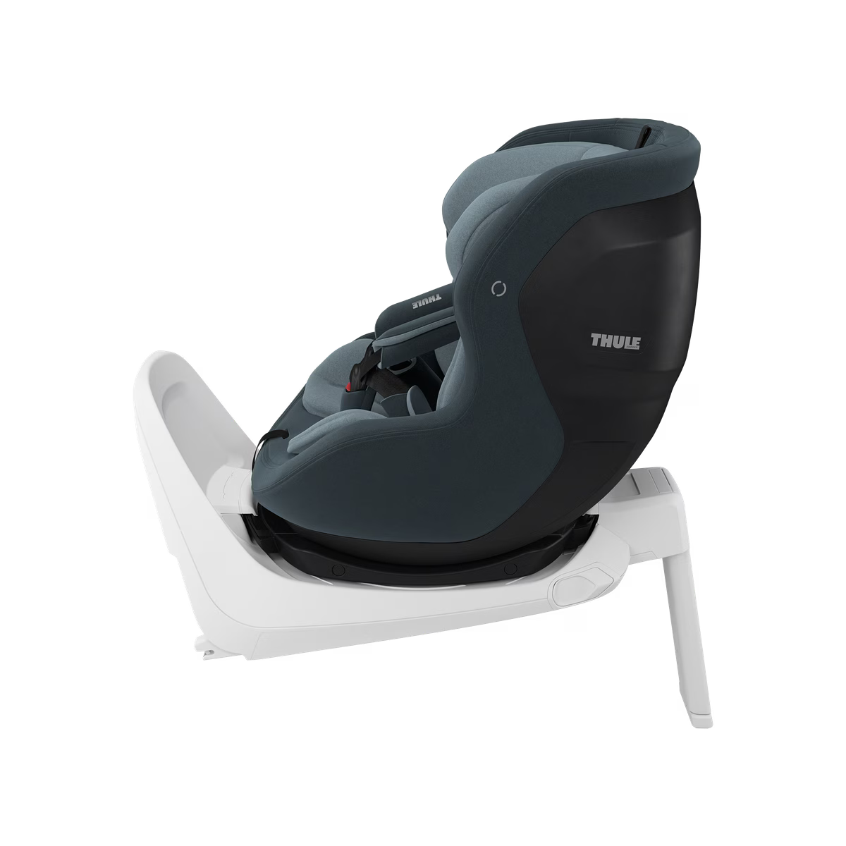 Thule Elm