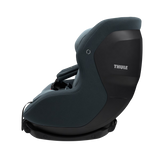 Thule Elm