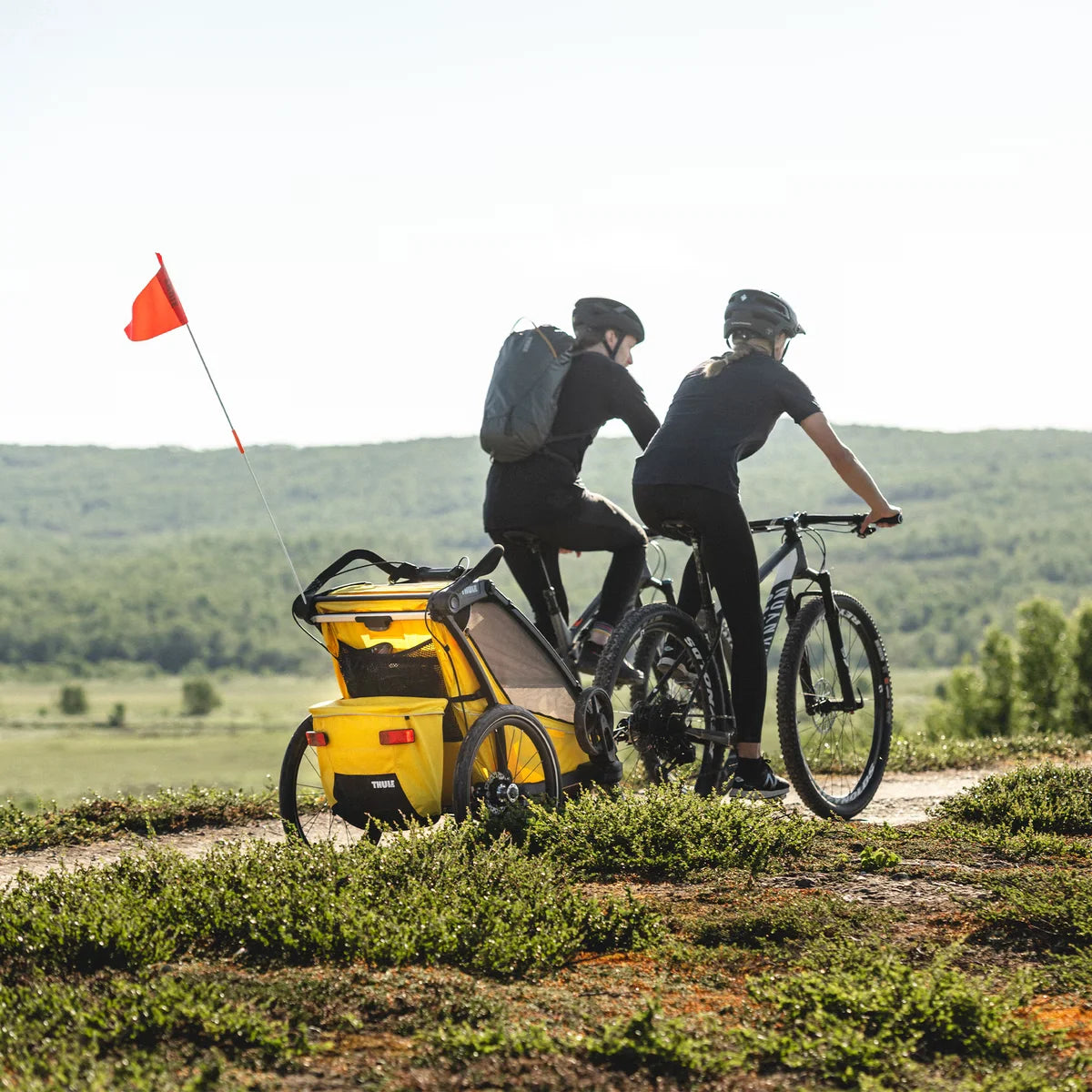 Thule Chariot Sport Dubbel