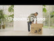 Doona X Autostol Baby & Klapvogn